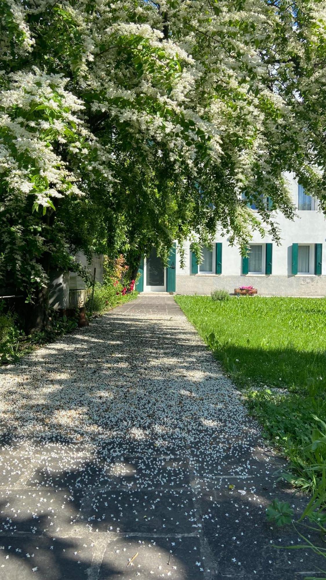 Magnolia 41 Apartment Possagno Bagian luar foto